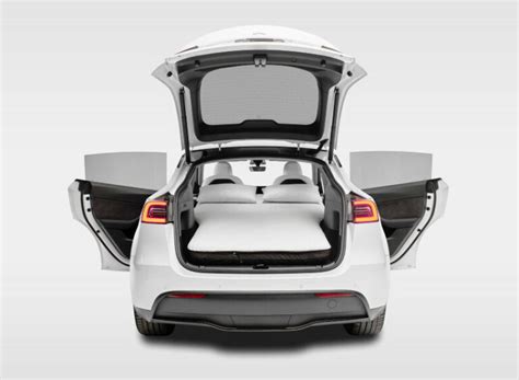 snuzu tesla|Snuza .